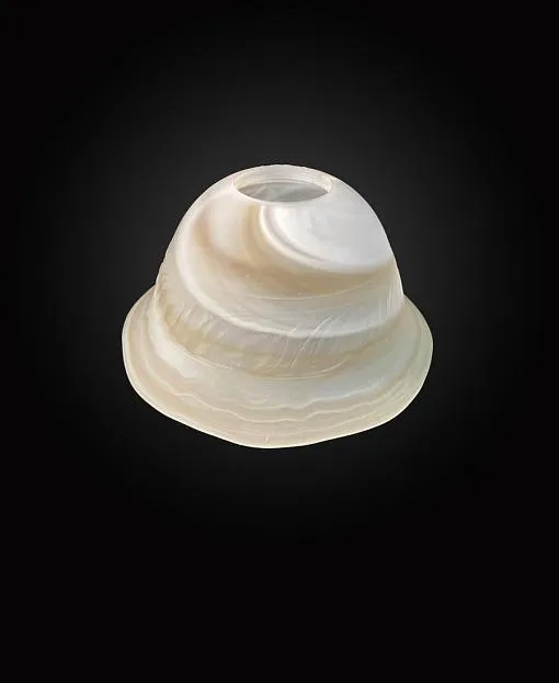 Плафон Плафон Reccagni Angelo VETRO 5851