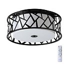 Потолочный светильник SONEX 7700/40L FABIANA