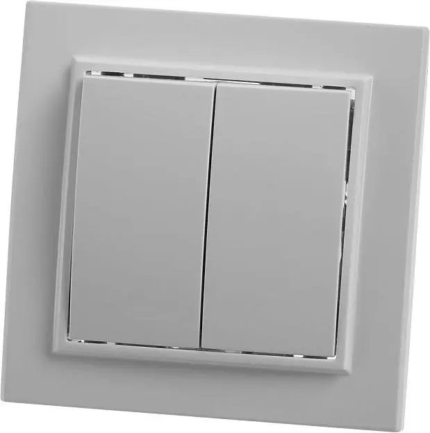 Выключатель 2-клавишный STEKKER 39044, PSW10-9004-01, 250В, 10А Эрна, белый Выключатель 2-клавишный STEKKER 39044, PSW10-9004-01, 250В, 10А Эрна, белый