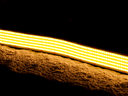 Лента светодиодная 40Вт/м Открытая (IP20), 3000К, 24В, SWG SWG-COB1600