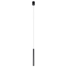 Подвесной светильник Loft IT 10334/600 Black Metropolis