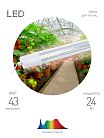 Светильник для растений ЭРА FITO-24W-Ra90-N