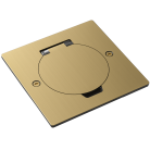 Лючок Surface 2 мод. (1 мод. 45х45 мм.), круглая крышка, зотоло Donel DFB2MRRG DFB