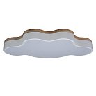 Потолочный светильник Loft It 10005/36 White Axel