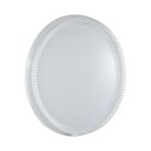 Настенно-потолочный светильник SONEX 7643/DL DEPAX