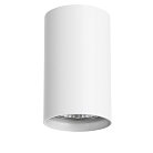 Накладной светильник Lightstar 214436 Rullo