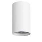 Накладной светильник Lightstar 214436 Rullo