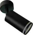 Спот Brizzi BR08078 Aras