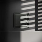 Выключатель встраиваемый для жалюзи 10А, (титан) Voltum VLS020706 S70