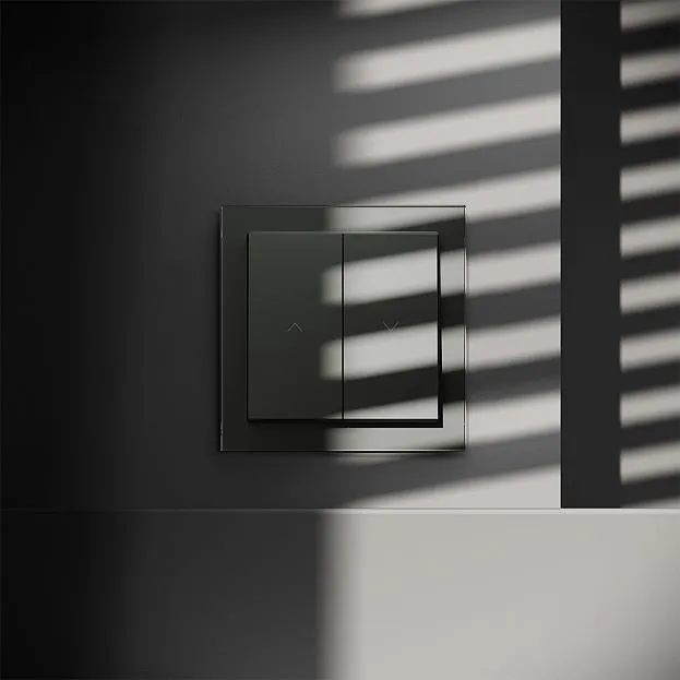 Выключатель встраиваемый для жалюзи 10А, (титан) Voltum VLS020706 S70