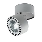 Уличные потолочные светильники Lightstar 381393 FORTE