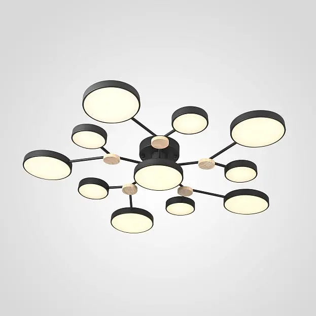 Потолочная Люстра Gamma D102 Black ImperiumLoft 223770-23 Потолочная Люстра Gamma D102 Black ImperiumLoft 223770-23