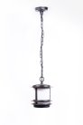Уличный светильник подвесной Oasis Light 68305 Bl opal TOKIO