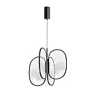Подвесной светильник ODEON LIGHT 6665/53L PIUMA