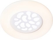 Потолочный светильник Мелодия света 000024985 SS1L