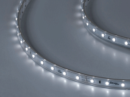 Светодиодная лента DesignLed DSG360-24-W-65 LUX