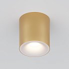 Потолочный светильник Maytoni Technical C094-GU10-MG Spark