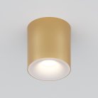 Потолочный светильник Maytoni Technical C094-GU10-MG Spark