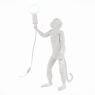 Декоративная лампа Evoluce SLE115114-01 Tenato