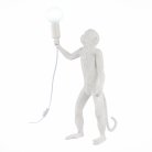 Декоративная лампа Evoluce SLE115114-01 Tenato