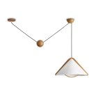 Потолочный светильник Freya FR5554CL-01T Umbra