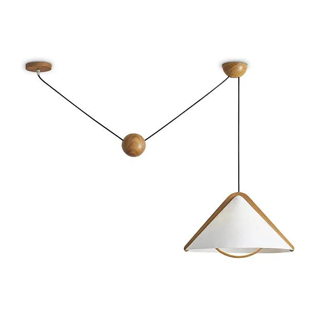 Потолочный светильник Freya FR5554CL-01T Umbra