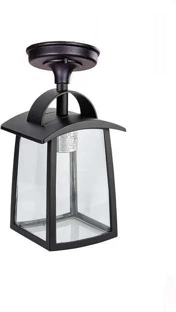 Потолочный светильник уличный Oasis Light 2736 05ACl Bl FRANKFURT I