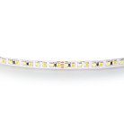 Лента белого свечения MIX WHITE 24V Lightstar 420820