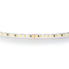Лента белого свечения MIX WHITE 24V Lightstar 420820