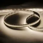 Светодиодная лента SWG Standard, 2835, 240 LED/м, 20 Вт/м, 24В , IP20 SWG SWG2240-24-20-NW-M 