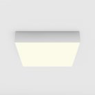 Потолочный светильник Maytoni C032CL-36W3K-SQ-W Zon