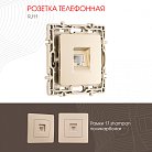 Розетка телефонная, RJ11 Arte Milano 217.51-1.shampan am