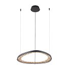 Подвесной светодиодный светильник Arte Lamp A1847SP-36BK Cinta
