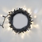 Гирлянда Laitcom ECO100BLW-1-2WW Нить