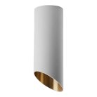 Потолочный светильник Feron 48036 ML181