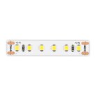 Светодиодная лента ST Luce ST1001.414.20.2