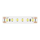 Светодиодная лента ST Luce ST1001.414.20.2