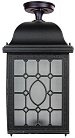 Потолочный светильник уличный Oasis Light 64805LA Bl LONDON L