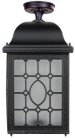 Потолочный светильник уличный Oasis Light 64805LA Bl LONDON L