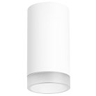 Потолочный светильник Lightstar R43630 RULLO HP16