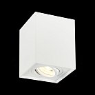Потолочный светильник ST Luce ST109.507.01