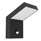 Уличный настенный светильник с датчиком Eglo 902414 GROTTAZZOLINA