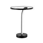 Декоративная настольная лампа Arte Lamp A2974LT-16BK ENIGMA