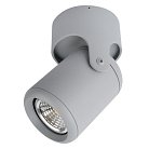 Светильник Потолочный Arte Lamp A3316PL-1GY