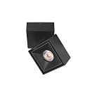 Накладной светильник Loft IT 10323/B Black Focus