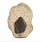 Настенный светильник Odeon light 5461/12WLA CORALLA