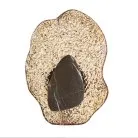 Настенный светильник Odeon light 5461/12WLA CORALLA