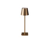 Настольная лампа Kink Light 07203-T,20 Никки