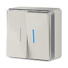 Выключатель двухклавишный с подсветкой Werkel W5020103 Gallant (слоновая кость) a051550
