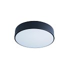 Потолочный светильник Loft IT 10002/12 black Axel